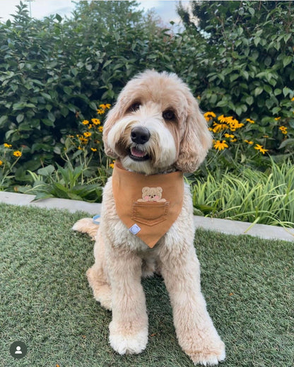 Caramel Corduroy Pocket Teddy Vol. 2 Dog Bandana - Beige