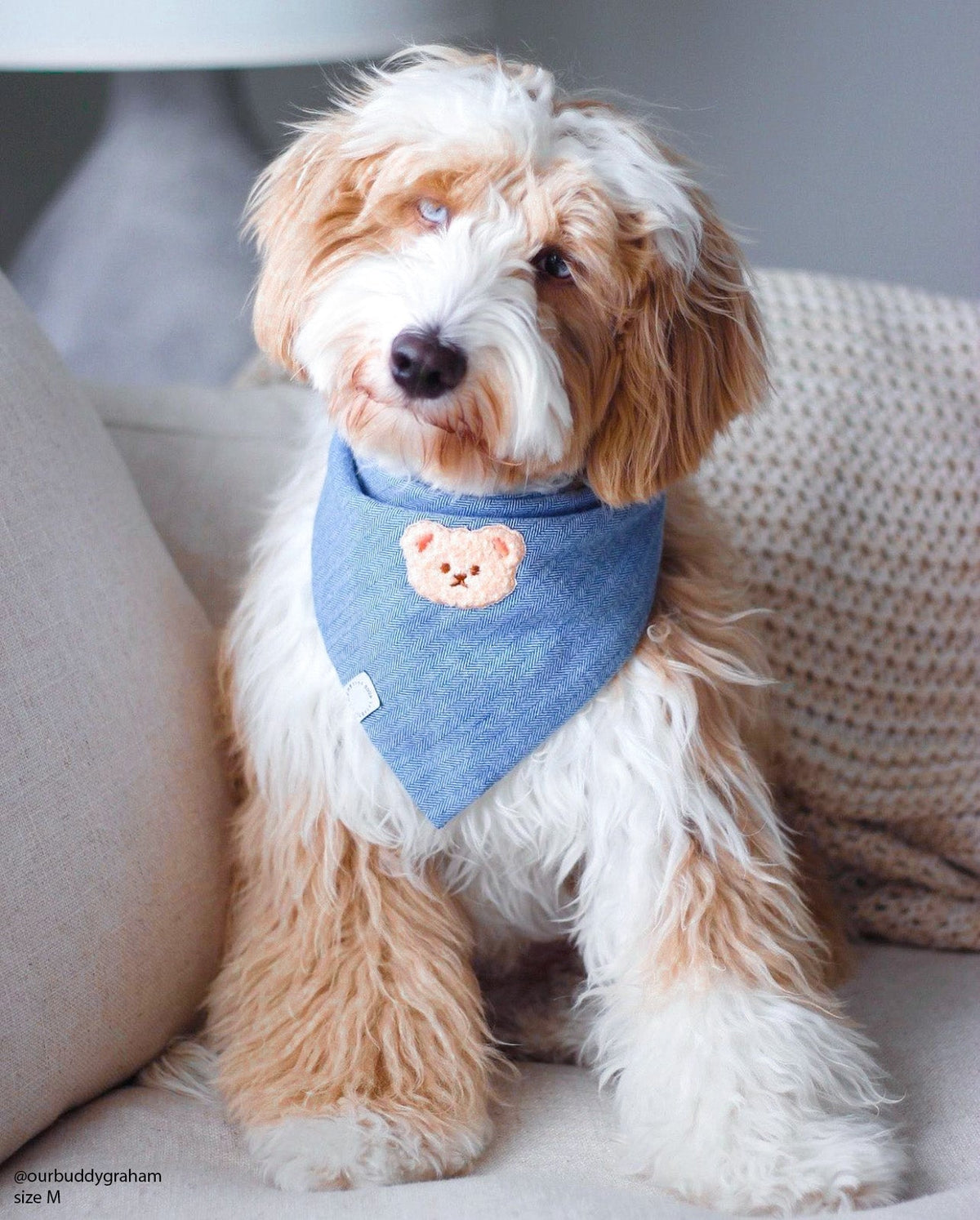 Blue Herringbone Flannel Teddy Bear Dog Bandana