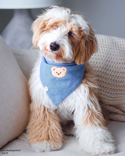 Blue Herringbone Flannel Teddy Bear Dog Bandana
