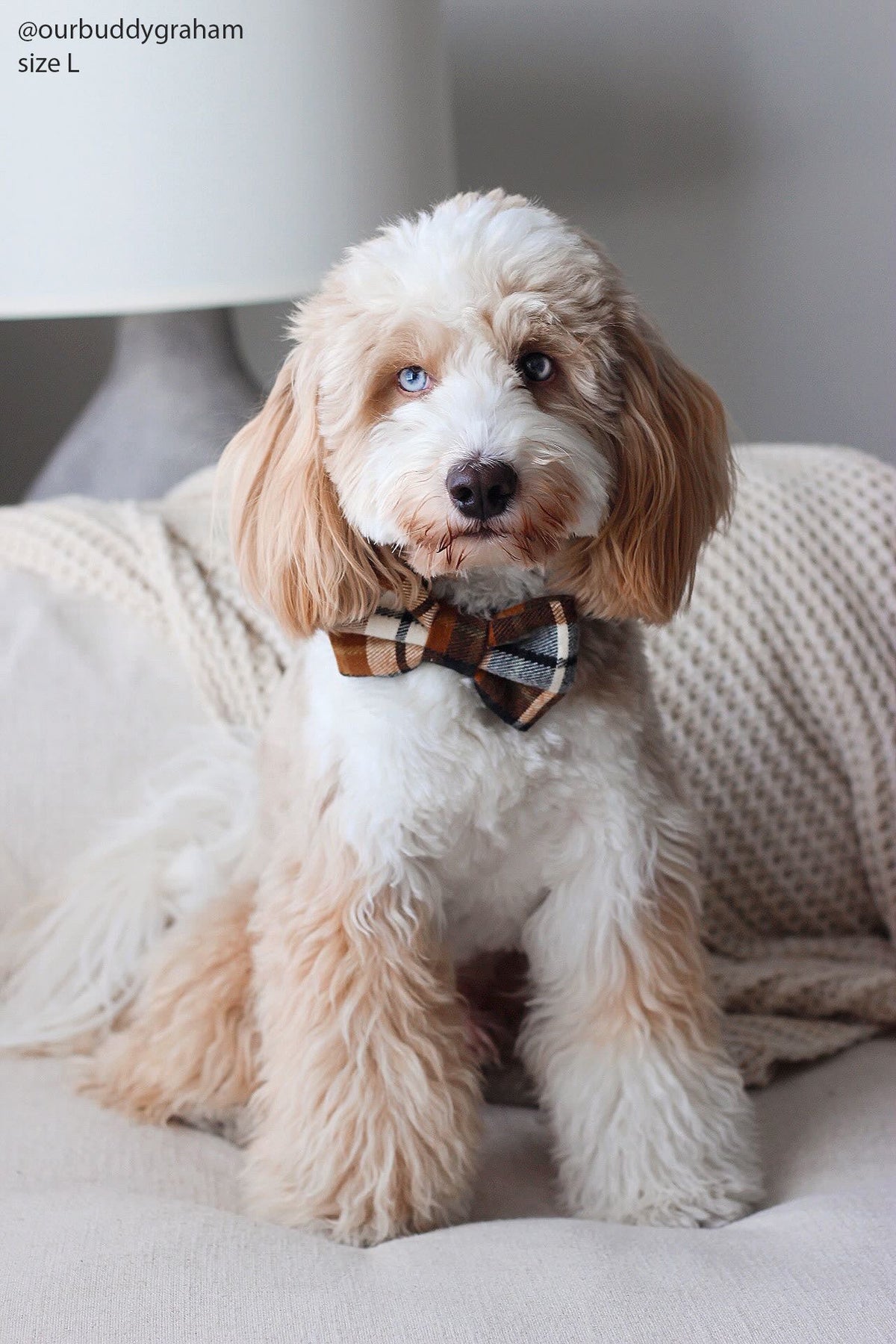 Harvest Plaid Flannel Dog Bow Tie