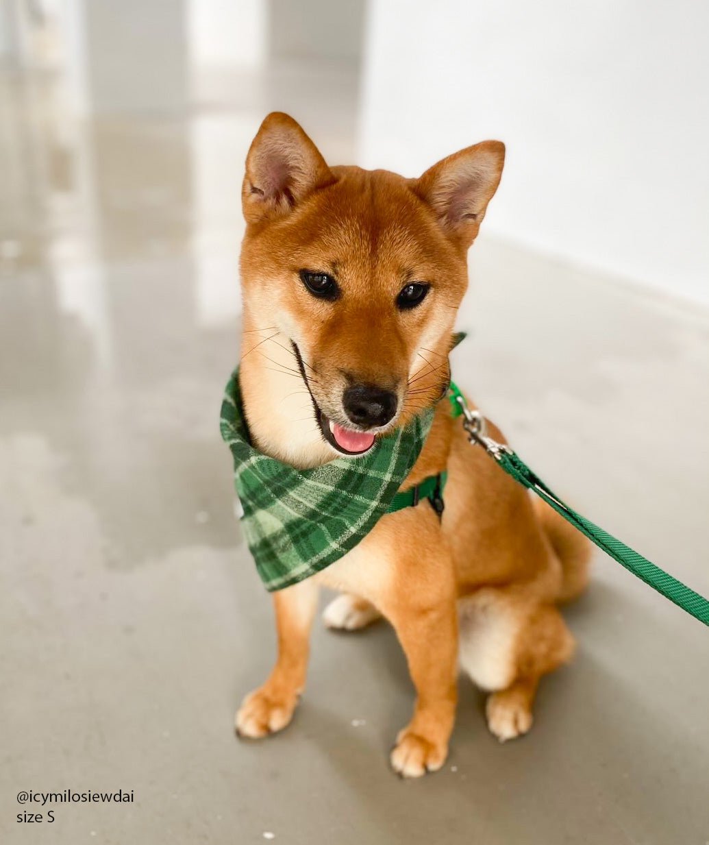 Forest Plaid Flannel Dog Bandana