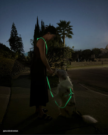 Lunar Glow Waterproof Dog Collar