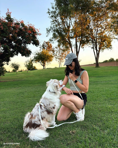 Lunar Glow Waterproof Cloud Dog Leash