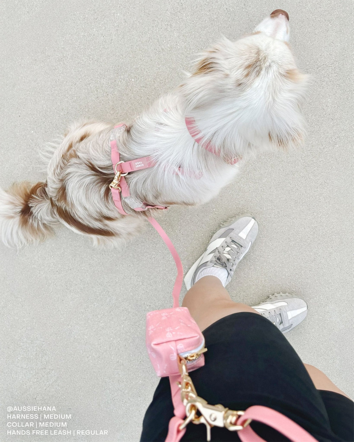 Pink Coquette Waste Bag Holder