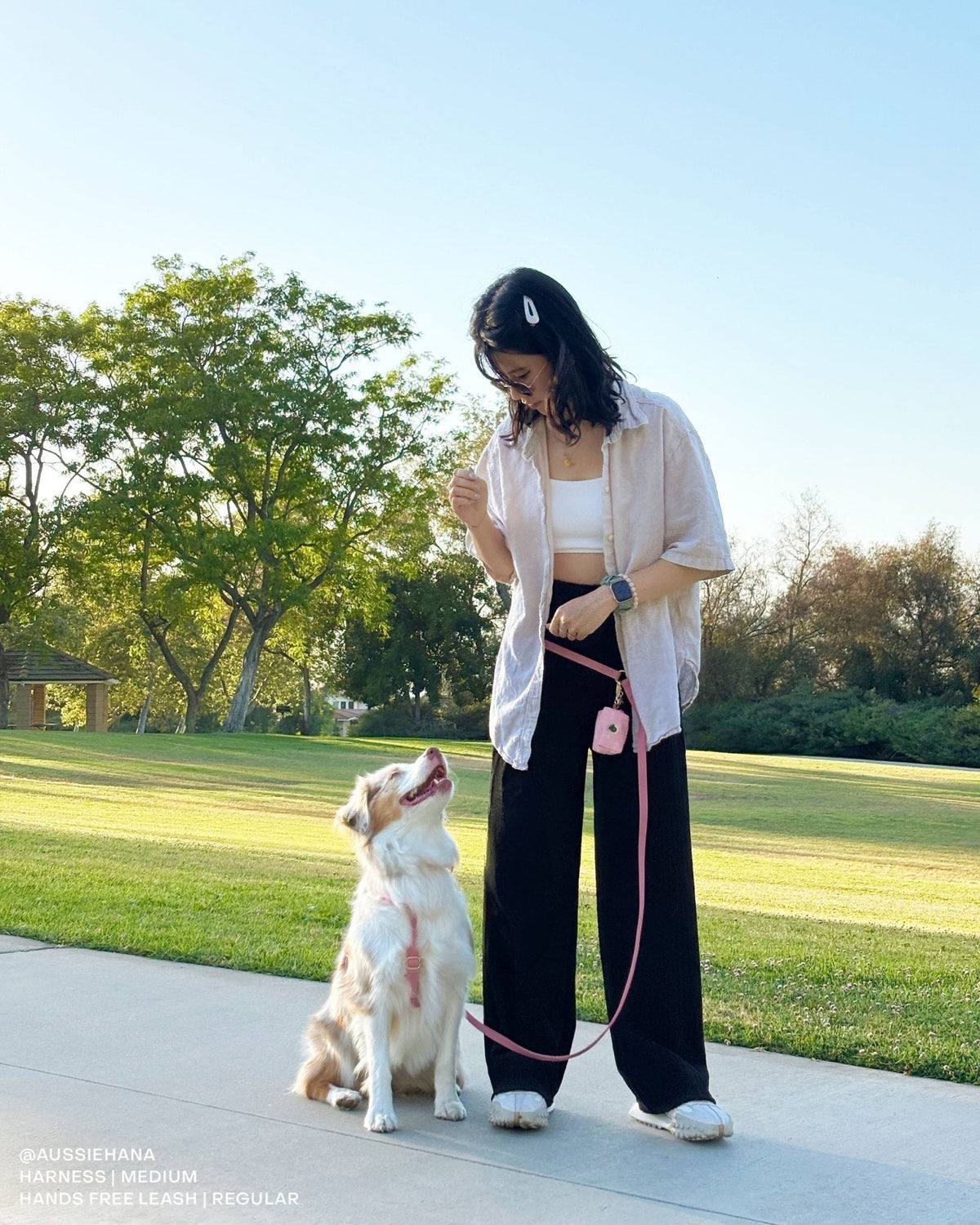 Perfect Pink Cloud Leash Extension