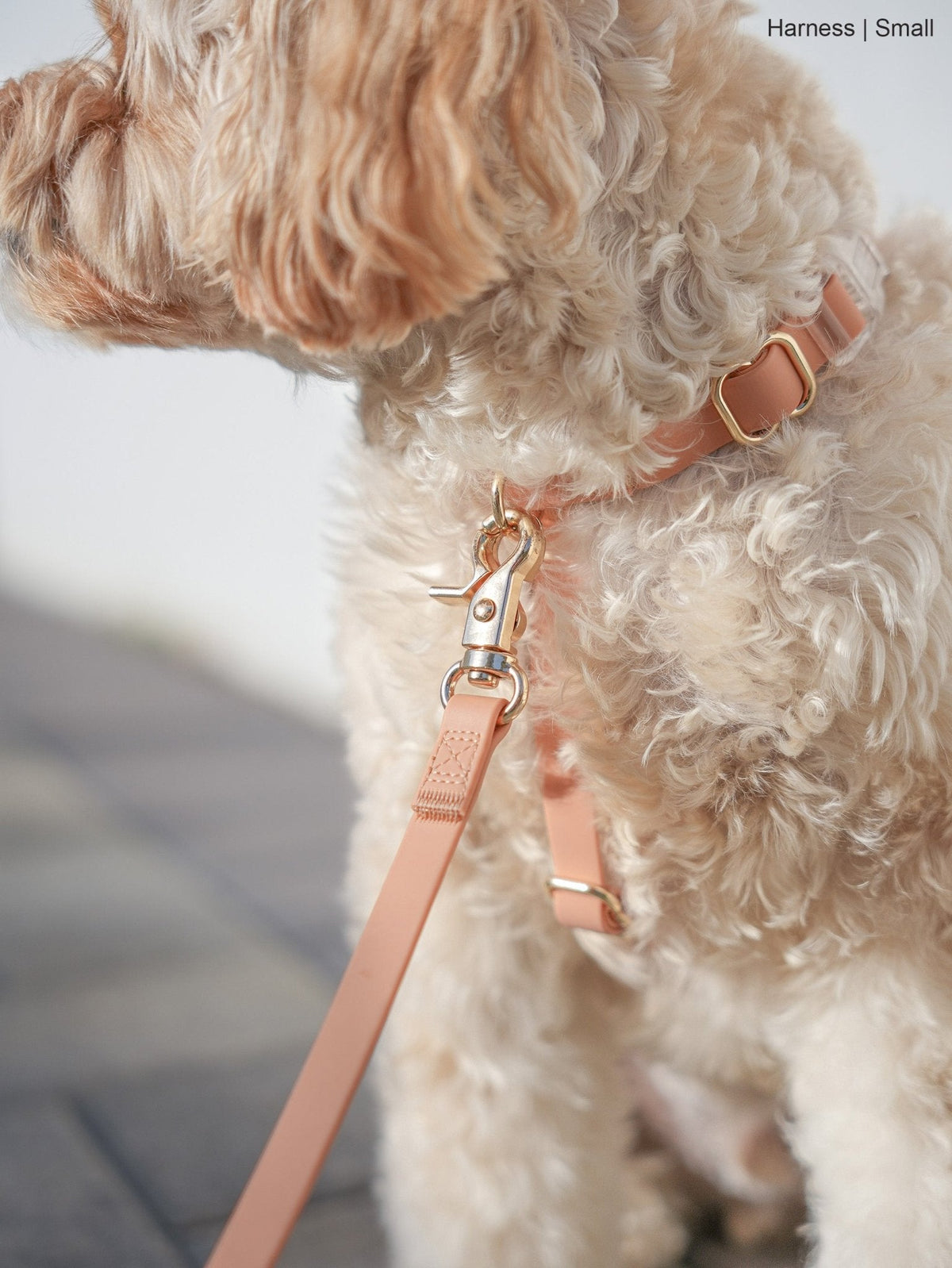 Cloud Lite Dog Harness Bundle