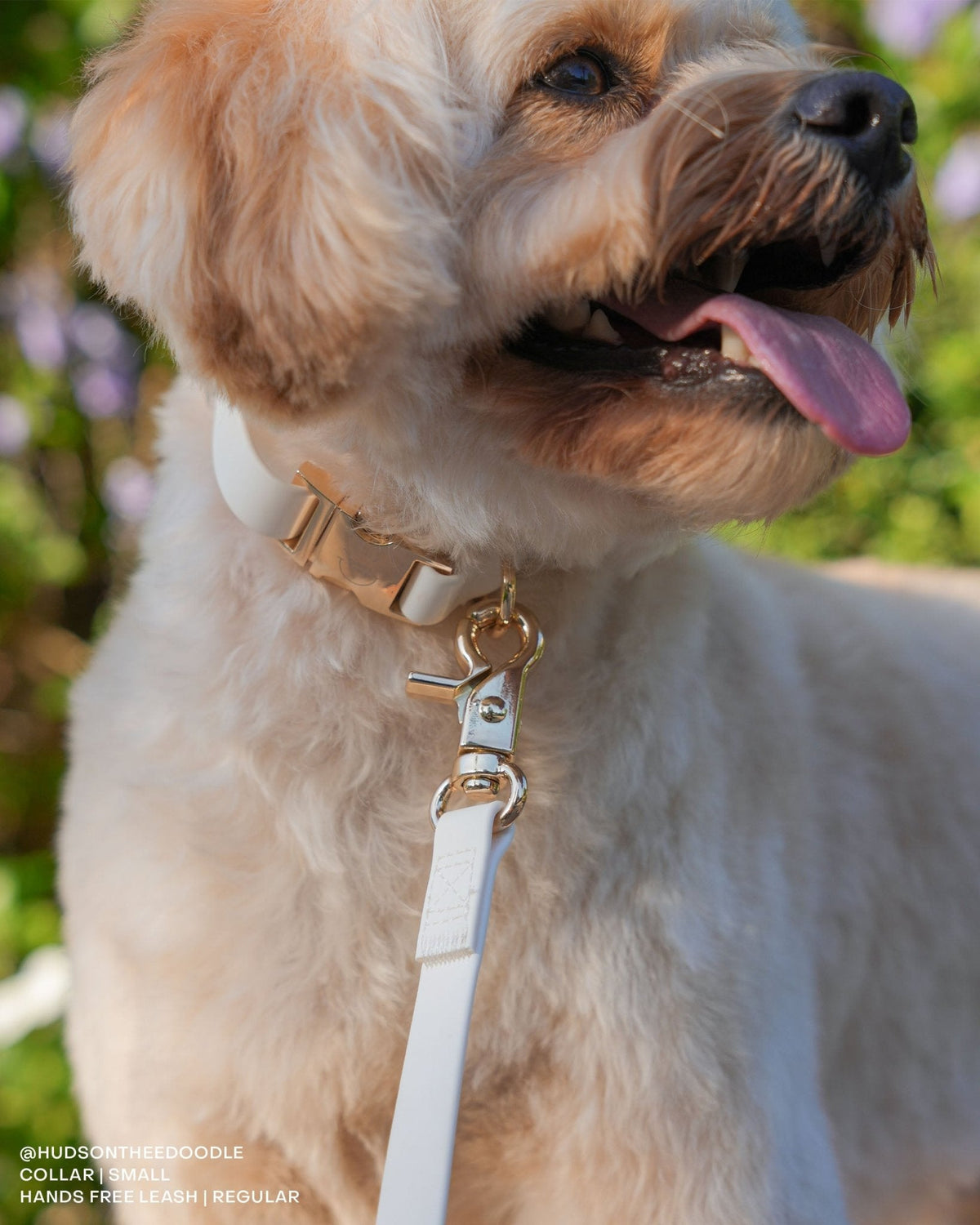 Cloud White Waterproof Cloud Dog Leash