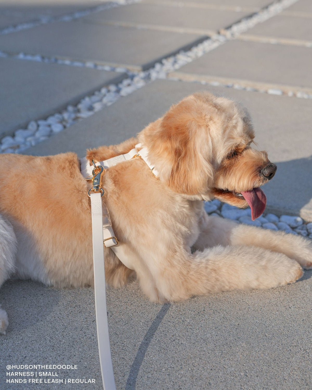 Cloud White Waterproof Cloud Dog Leash