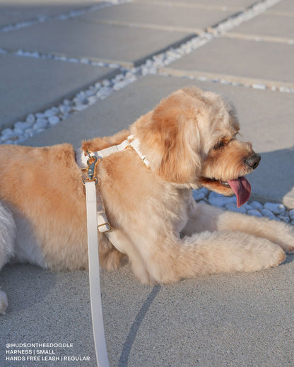 Cloud White Waterproof Cloud Dog Leash