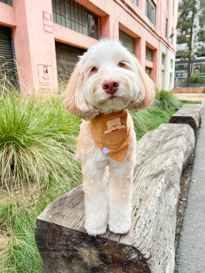 Caramel Corduroy Pocket Teddy Vol. 2 Dog Bandana - Beige