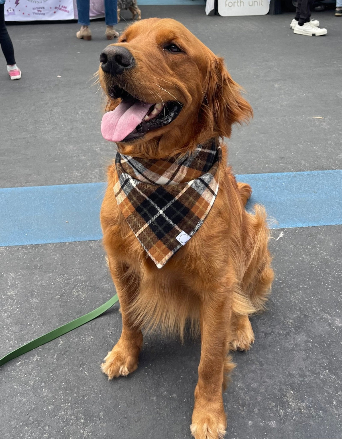 Harvest Plaid Flannel Dog Bandana