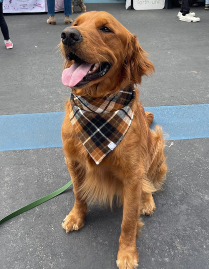Harvest Plaid Flannel Dog Bandana