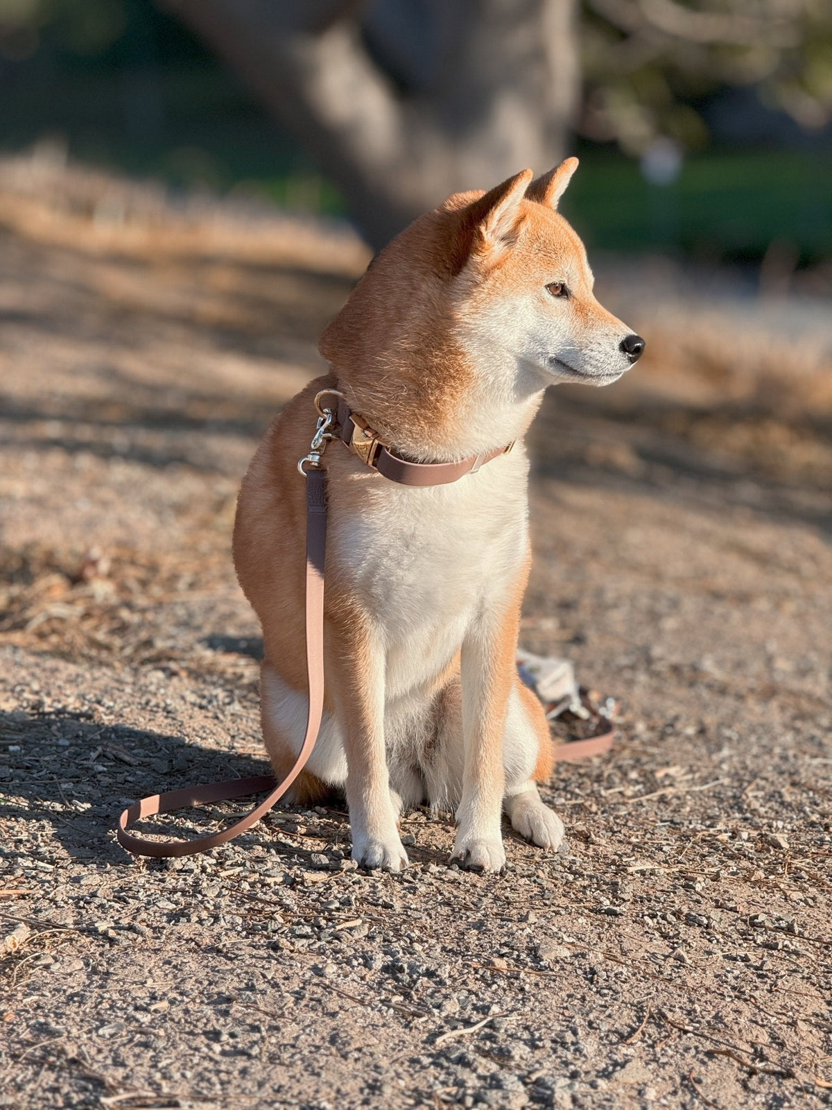 Espresso Brown Waterproof Cloud Dog Leash
