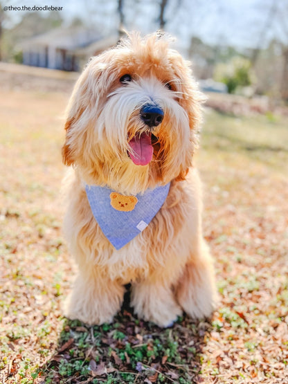 Blue Herringbone Flannel Teddy Bear Dog Bandana