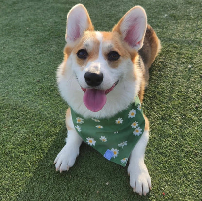 Blooming Daisies Green Dog Bandana