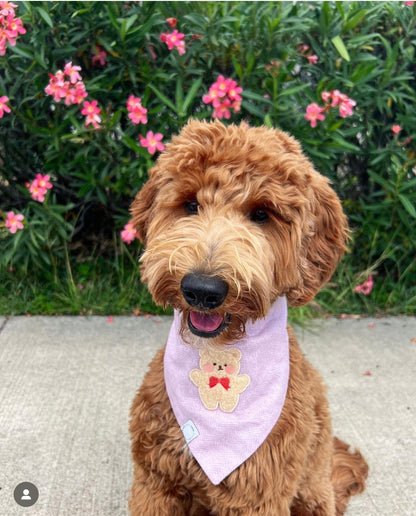 Spring Violet Herringbone Teddy Dog Bandana