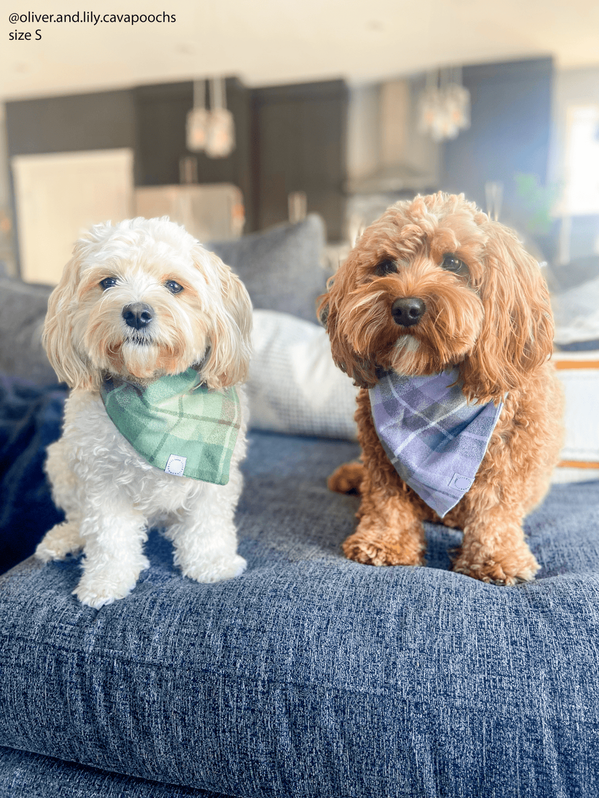 Purple Plaid Flannel Dog Bandana