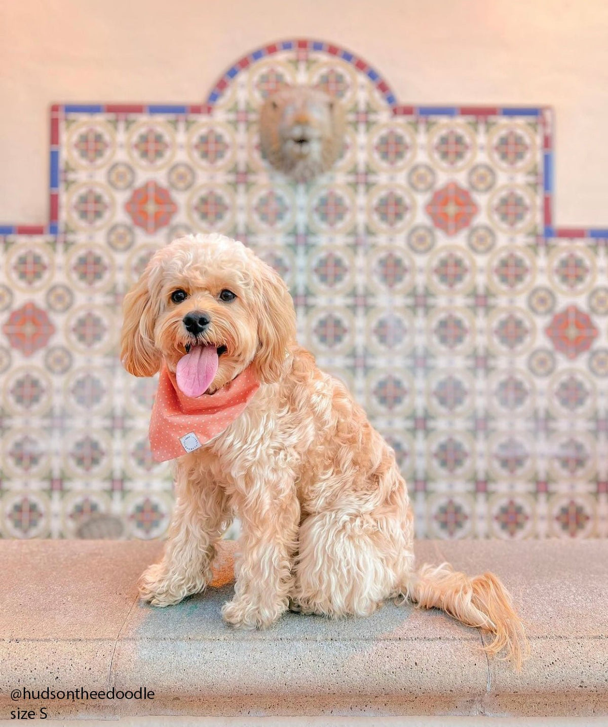 Classic Melon Dog Bandana