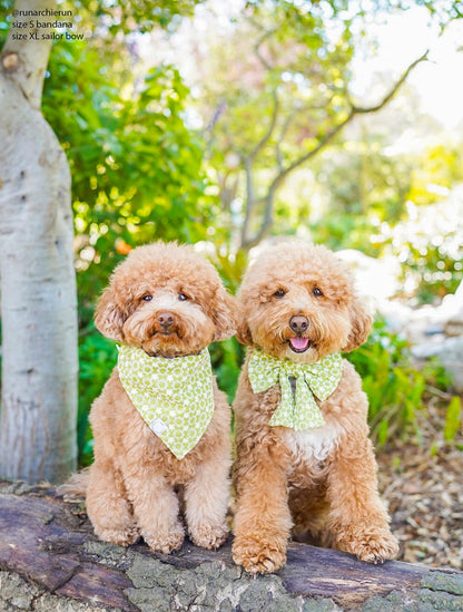 Olive Eyelet Dog Bandana