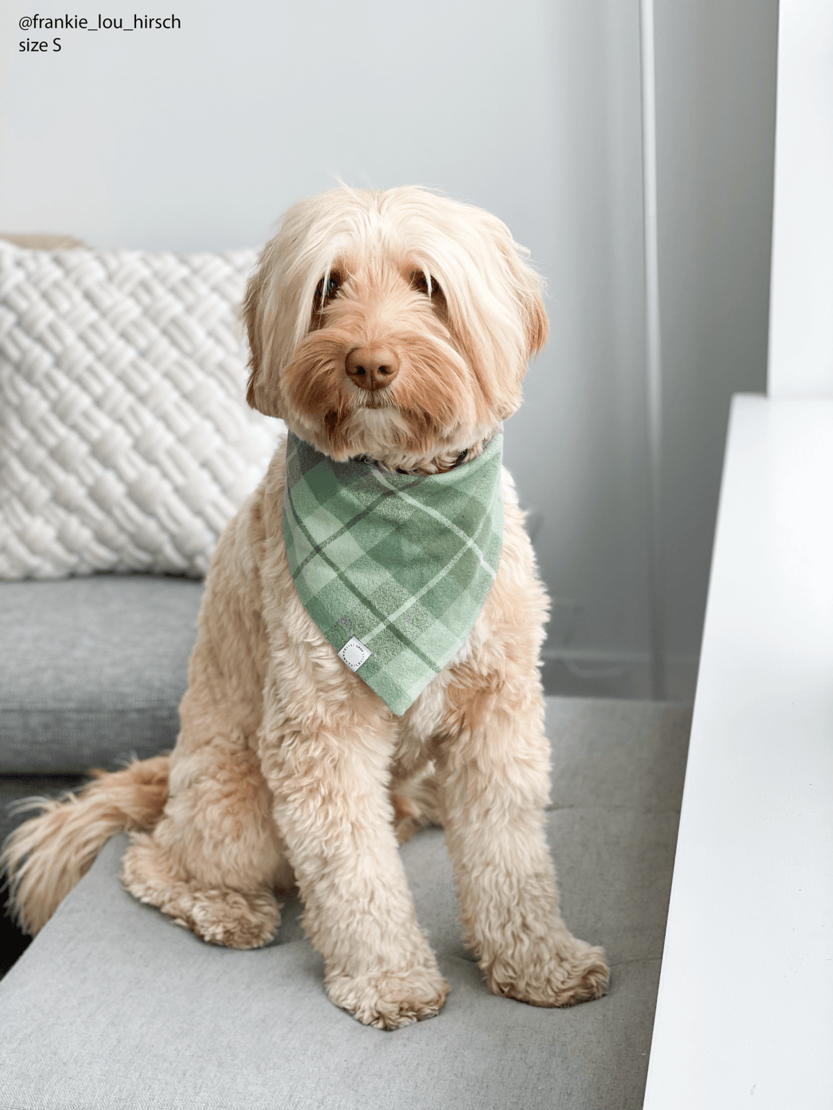 Sage Plaid Flannel Dog Bandana