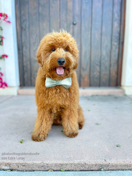 Moss Green Flannel Dog Bow Tie