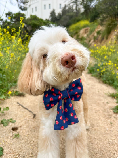 Strawberry Jeans Dog Sailor Bow