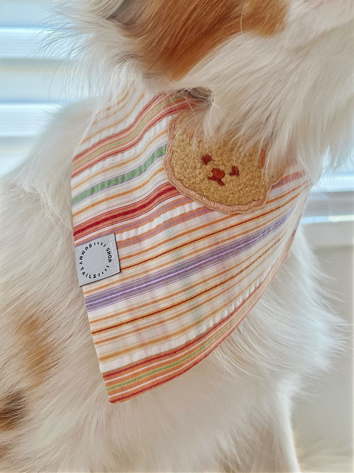 Sherbet Teddy Dog Bandana