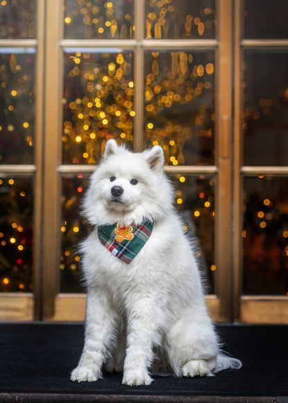 Gingerbread Green Tartan Flannel Dog Bandana