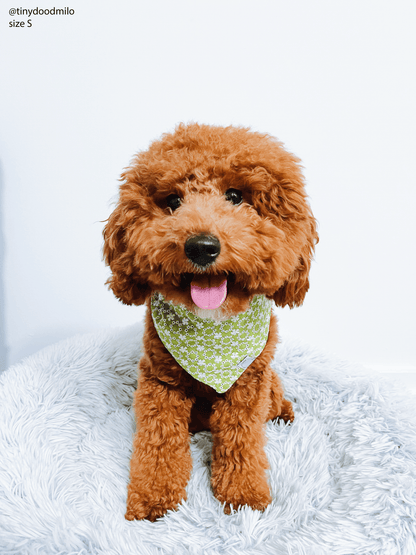 Olive Eyelet Dog Bandana