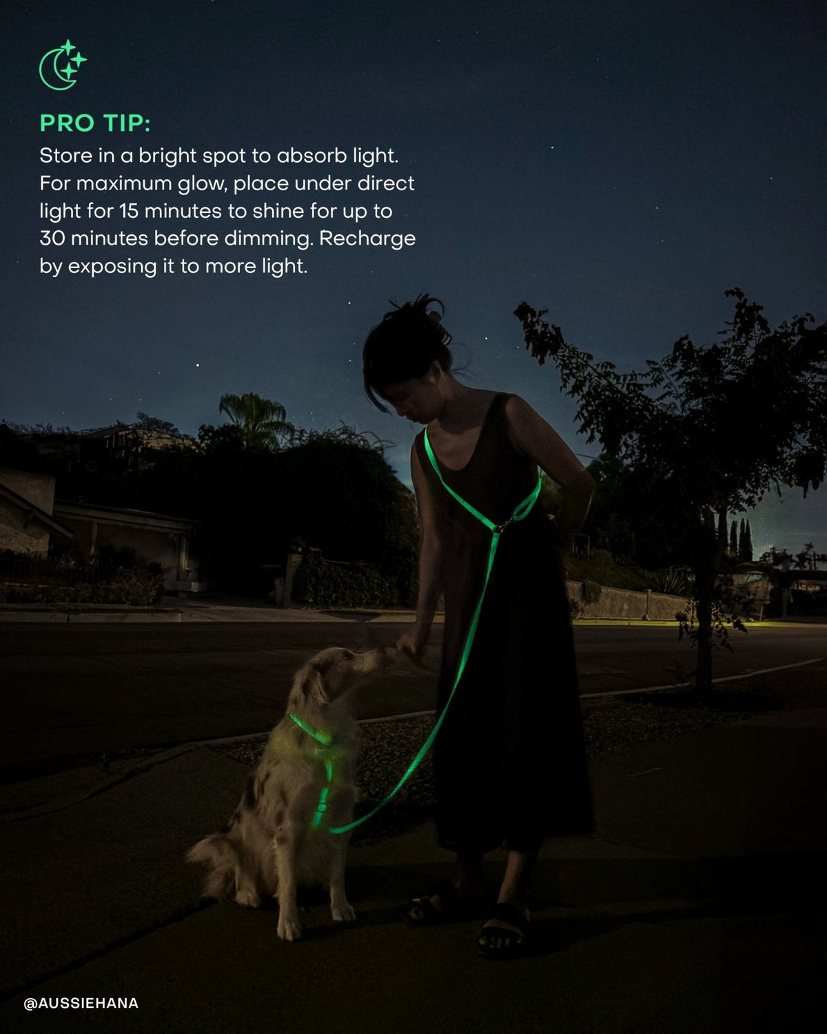 Cloud Dog Collar Bundle