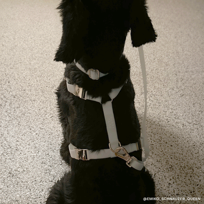 Lunar Glow Cloud Lite Dog Harness