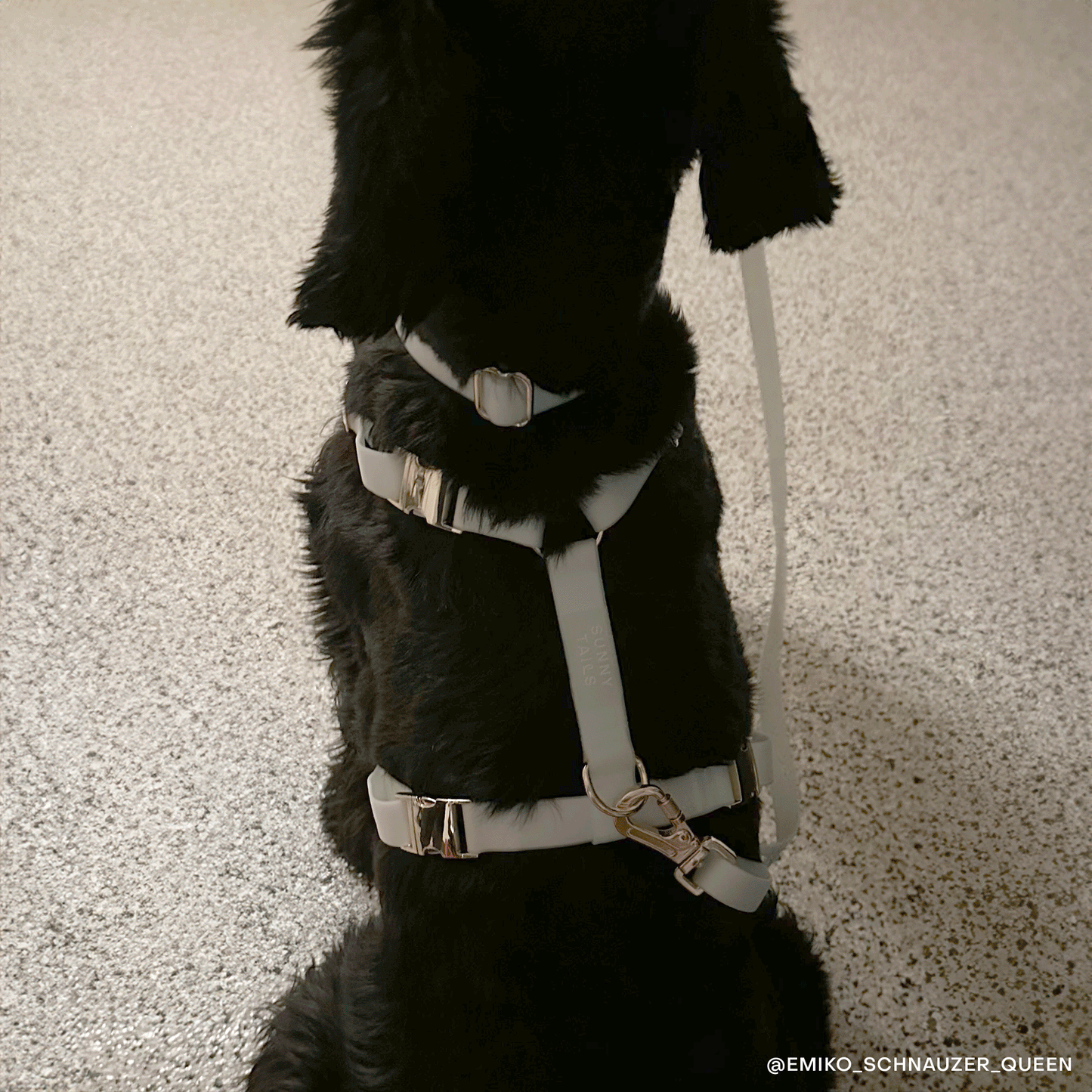 Lunar Glow Snap Dog Treat Pouch