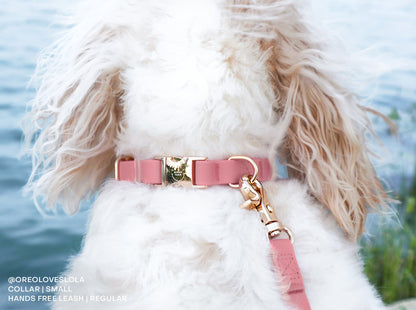 Perfect Pink Waterproof Cloud Dog Leash