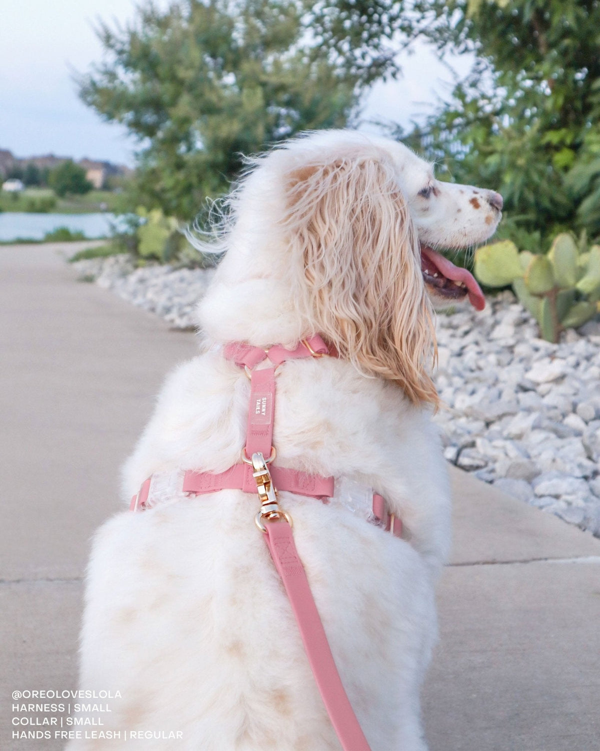 Perfect Pink Waterproof Cloud Dog Leash