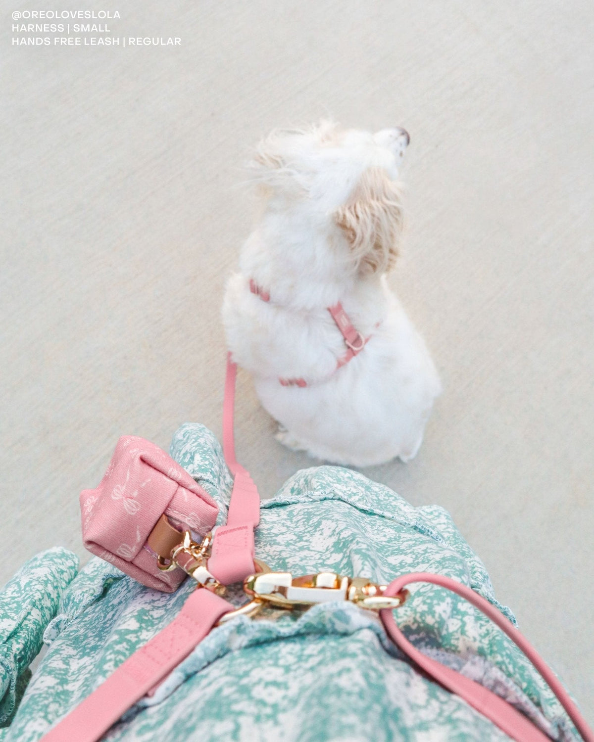 Perfect Pink Cloud Leash Extension