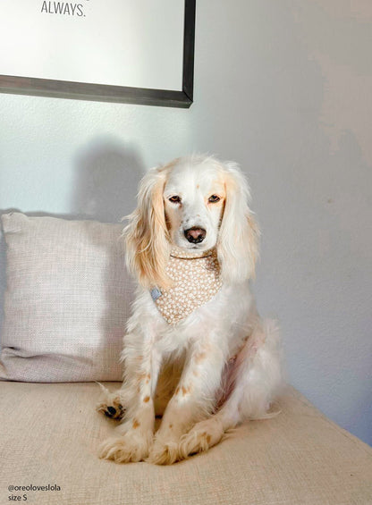 Corduroy Everyday Floral Dog Bandana