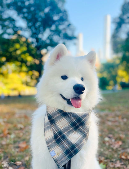 Woodland Plaid Flannel Dog Bandana