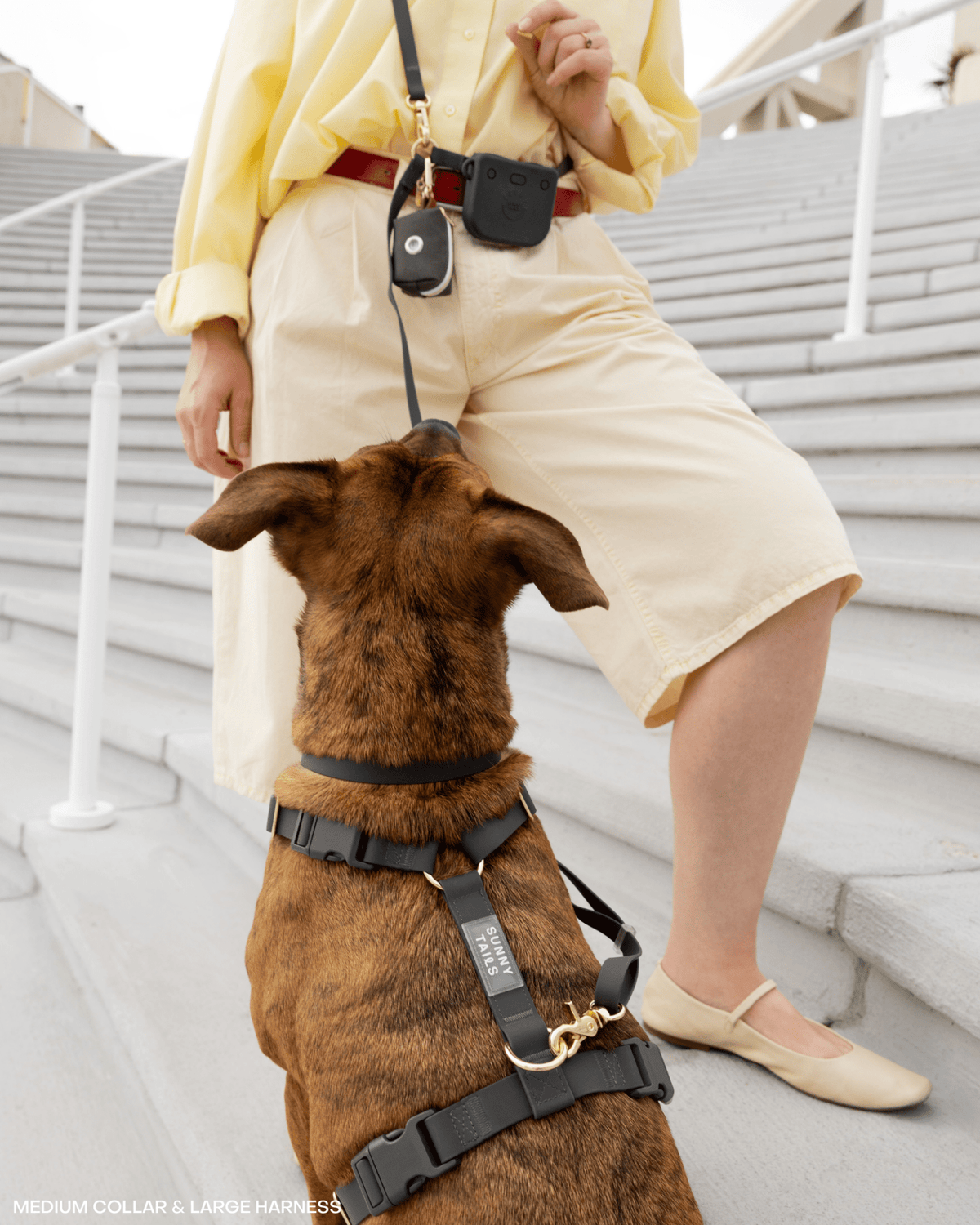 Best Sellers Harness & Large Treat Pouch Bundle