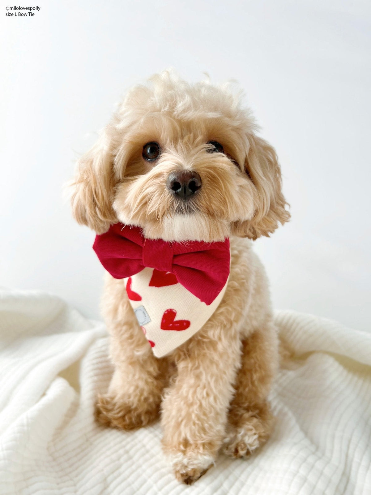 Red Corduroy Dog Bow Tie