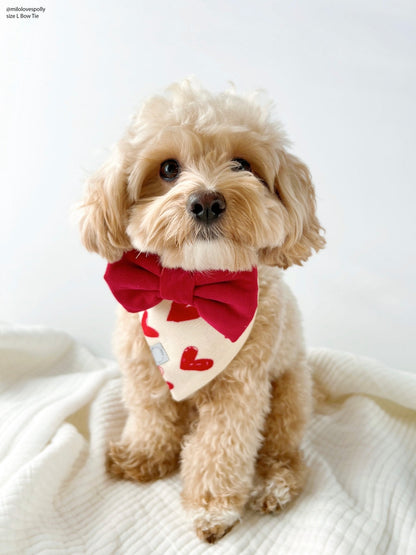 Red Corduroy Dog Bow Tie
