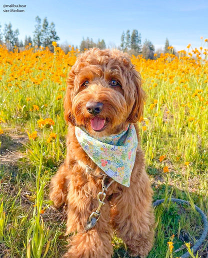 Flower Fields Dog Bandana