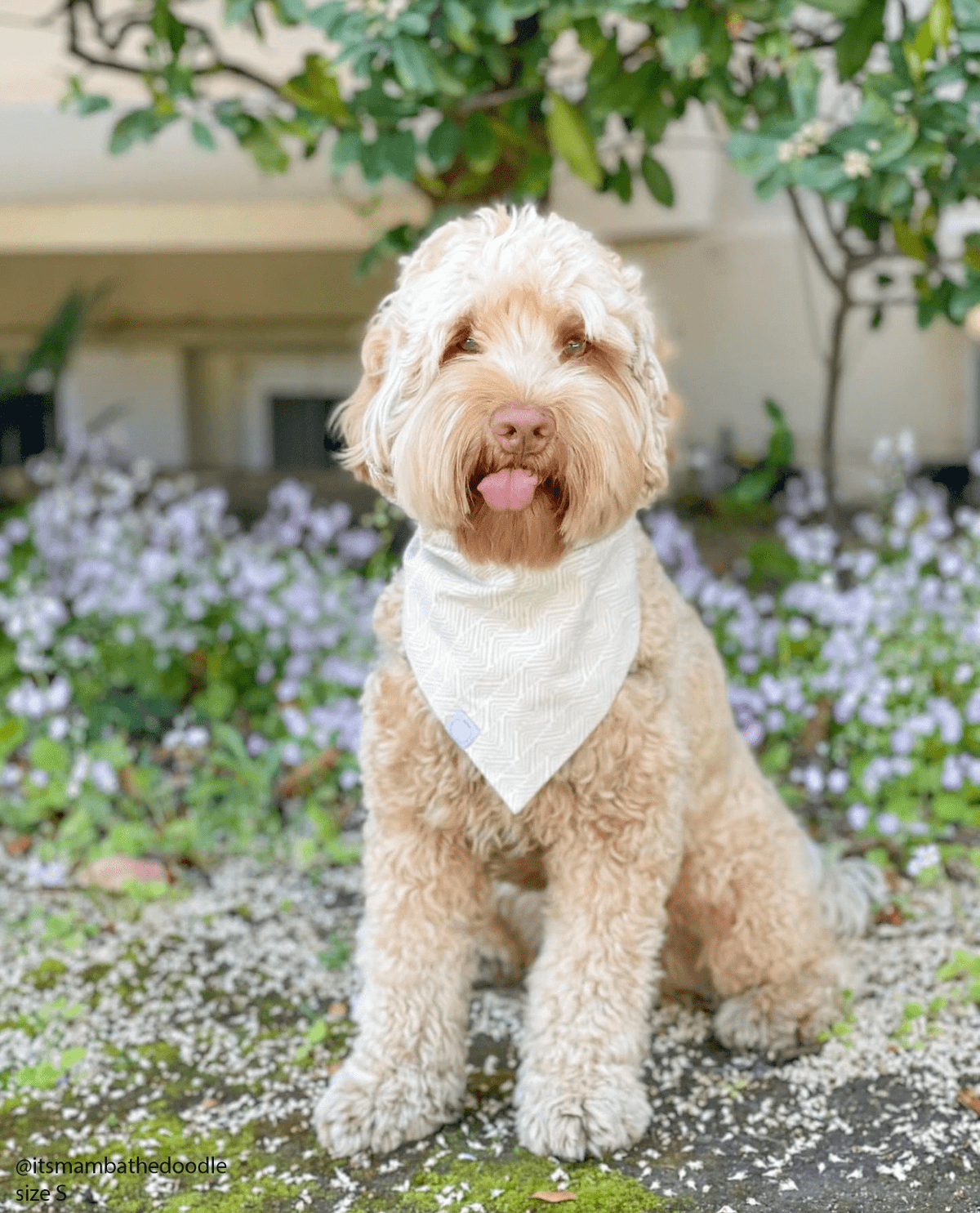 Khaki Adventures Dog Bandana