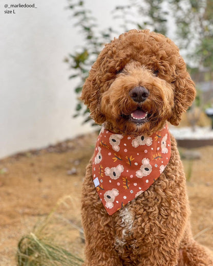 Koality Friends Koala Dog Bandana
