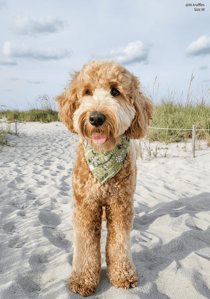 Embroidered Greenhouse Green Dog Bandana