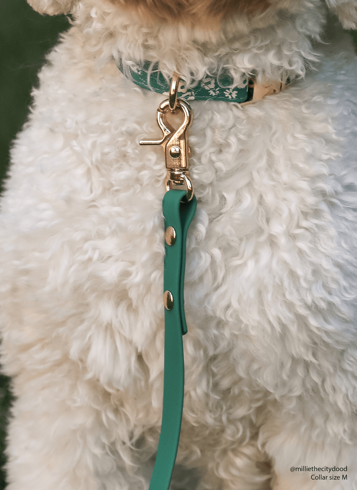 Meadow Green Waterproof Cloud Dog Leash