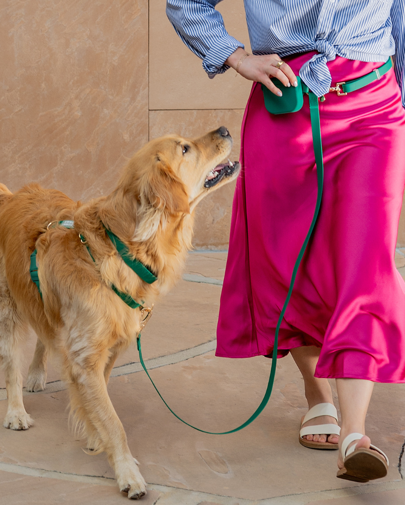 Best Sellers Harness & Standard Treat Pouch Bundle