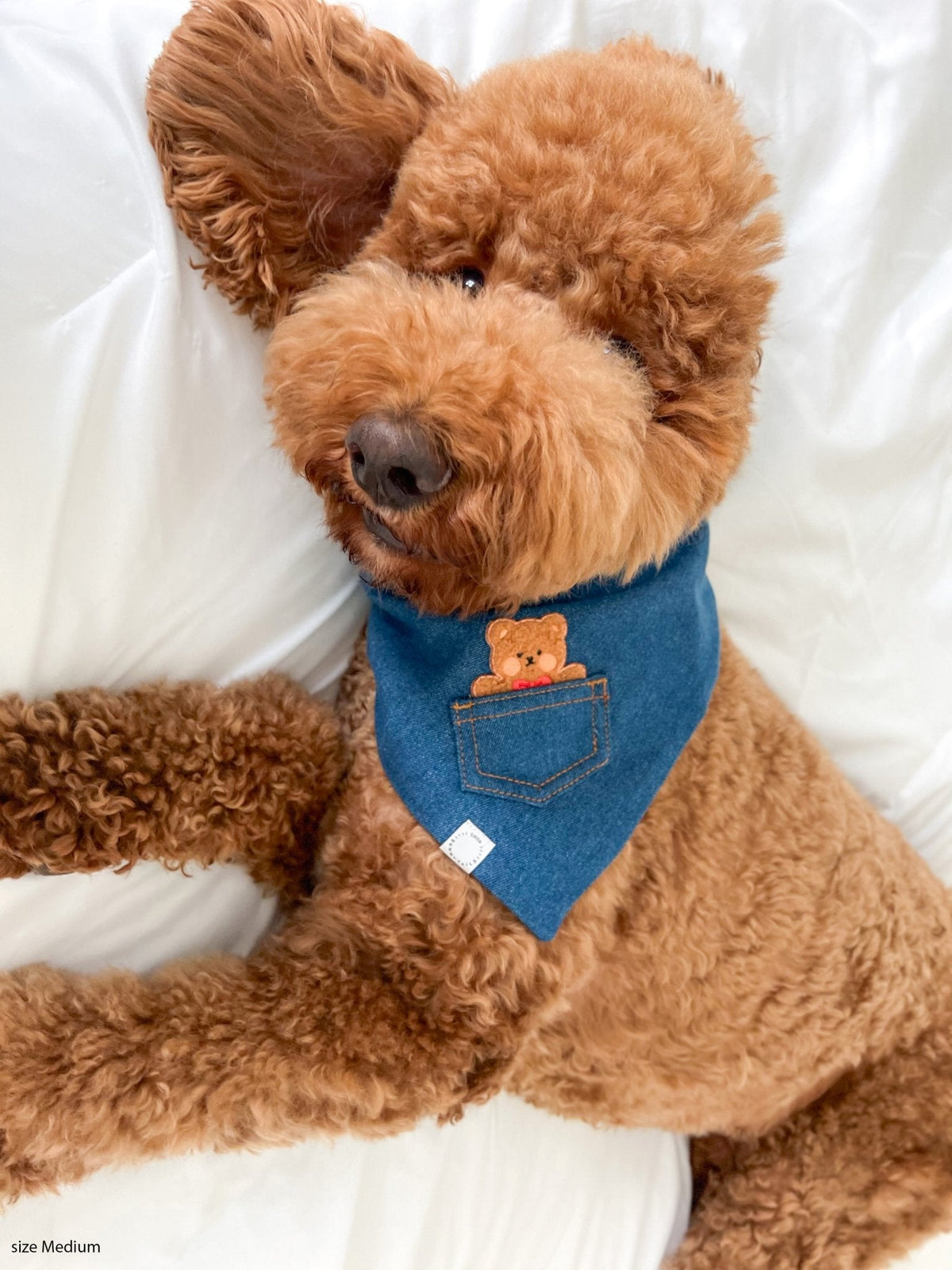 Pocket Teddy Indigo Denim Dog Bandana - Beige