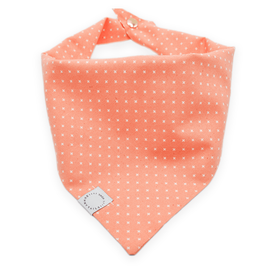 Classic Melon Dog Bandana