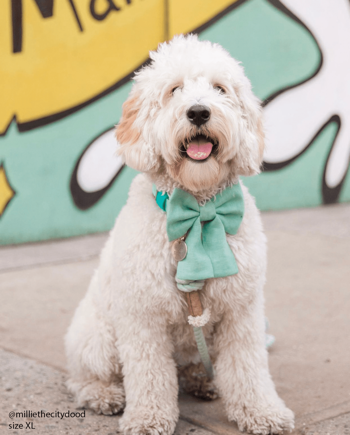 Matcha Sage Green Linen Dog Sailor Bow