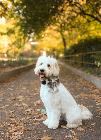 Woodland Plaid Flannel Dog Sailor Bow